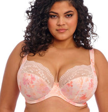 Load image into Gallery viewer, Lucie EL4490 Plunge - Cosmos (Fashion Color)