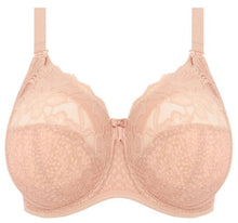 Load image into Gallery viewer, Molly EL4542 Cameo Rose