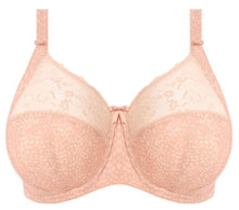 Load image into Gallery viewer, Morgan-EL4110 Cameo Rose