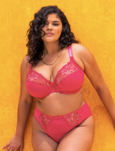 Load image into Gallery viewer, Teagan Plunge Bra EL302602 - Fashion