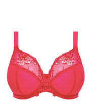 Load image into Gallery viewer, Teagan Plunge Bra EL302602 - Fashion