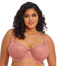 Load image into Gallery viewer, Teagan EL302615 Padded Half Cup Bra - Fashion