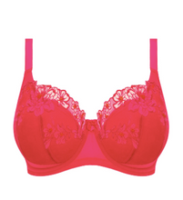 Load image into Gallery viewer, Teagan EL302615 Padded Half Cup Bra - Fashion