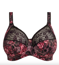 Load image into Gallery viewer, Morgan-EL4110 FASHION: Dark Romance