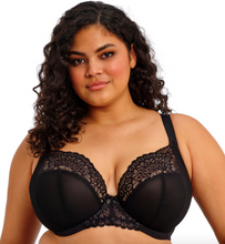 Load image into Gallery viewer, Tiernie EL303334 Plunge - Black