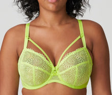 Load image into Gallery viewer, Sophora Bra 0163181-Fashion Colors