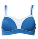 Load image into Gallery viewer, Pauline Sports Bra - Blue Silver