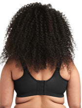 Load image into Gallery viewer, Celeste GD6113 / Black