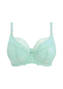 Brianna EL8081 Padded Half Cup Bra - Fashion Pre-Order: Frozen Blue