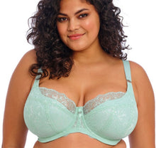 Load image into Gallery viewer, Brianna EL8081 Padded Half Cup Bra - Fashion Pre-Order: Frozen Blue
