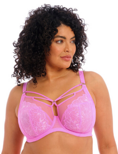 Brianna EL8080 Plunge Bra - FASHION Limited - Very Pink (LAST CHANCE COLOR)
