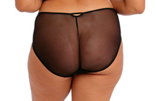 Load image into Gallery viewer, Sachi EL4355 Brief - Black
