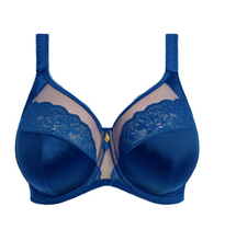 Load image into Gallery viewer, Cate Allure EL302405 - Fashion - Lapis
