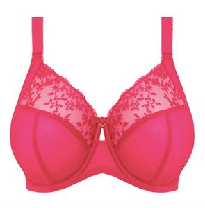 Zarla UW Bra EL302505 - Fashion