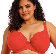Load image into Gallery viewer, Tiernie EL303334 Plunge - Fashion

