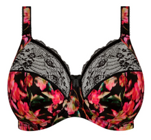 Load image into Gallery viewer, Morgan-EL4110  FASHION Colors
