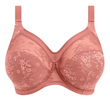 Load image into Gallery viewer, Verity GD700204 Full Cup Bra - ROSEWOOD
