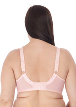 Load image into Gallery viewer, Molly EL4542 Blush
