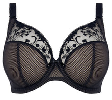 Load image into Gallery viewer, Charley  EL4380 - Plunge Bra - Black
