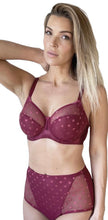 Load image into Gallery viewer, Carmen Bra B2498 Deep Red
